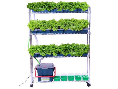 智能種菜機(jī)