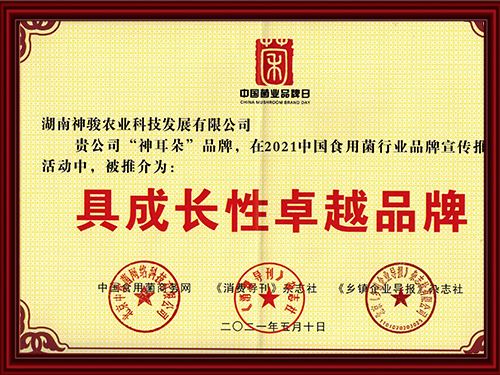 具成長性卓越品牌