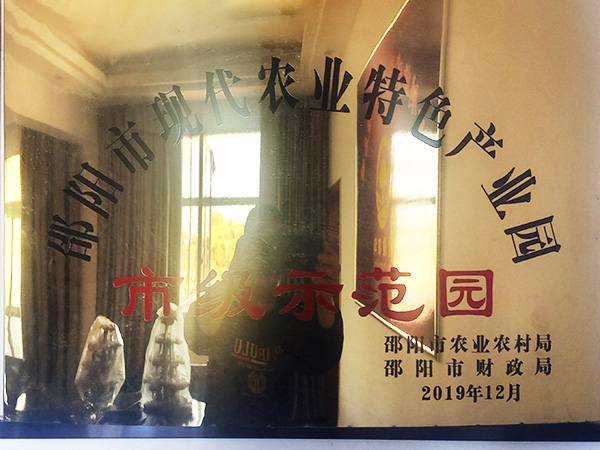 現(xiàn)代農(nóng)業(yè)特色產(chǎn)業(yè)園