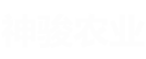 湖南神駿農(nóng)業(yè)科技發(fā)展有限公司_湖南神駿農(nóng)業(yè)|神駿農(nóng)業(yè)|邵陽(yáng)食用菌|邵陽(yáng)食用菌種植基地