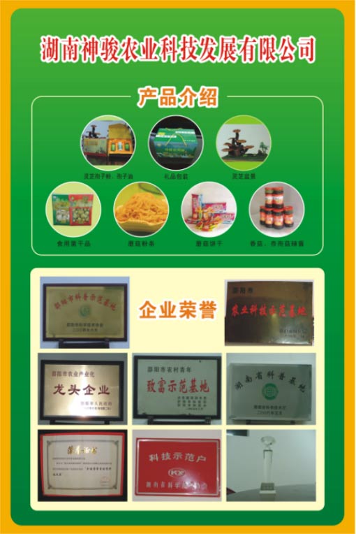 湖南神駿農業(yè)科技發(fā)展有限公司,湖南神駿農業(yè),湖南農業(yè)科技,靈芝,茯苓,雙孢菇,杏鮑菇,食用菌哪家好