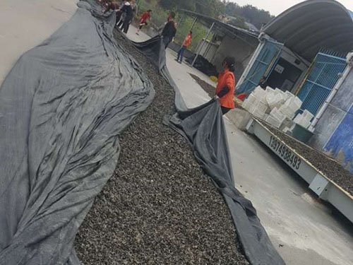 湖南神駿農(nóng)業(yè)科技發(fā)展有限公司,湖南神駿農(nóng)業(yè),神駿農(nóng)業(yè),邵陽(yáng)食用菌,邵陽(yáng)食用菌種植基地