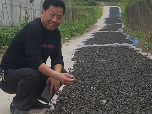 湖南神駿農(nóng)業(yè)科技發(fā)展有限公司,湖南神駿農(nóng)業(yè),神駿農(nóng)業(yè),邵陽(yáng)食用菌,邵陽(yáng)食用菌種植基地