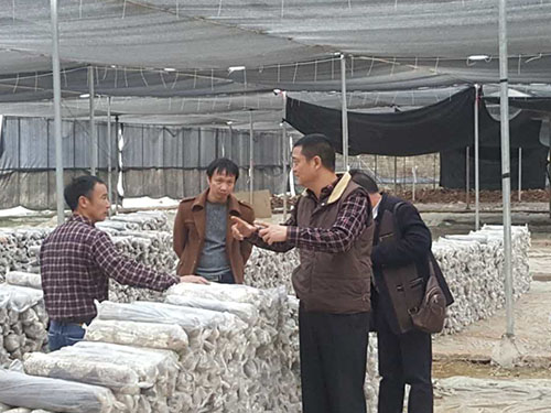 湖南神駿農(nóng)業(yè)科技發(fā)展有限公司,湖南神駿農(nóng)業(yè),神駿農(nóng)業(yè),邵陽(yáng)食用菌,邵陽(yáng)食用菌種植基地