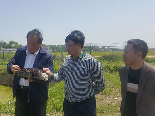 湖南神駿農(nóng)業(yè)科技發(fā)展有限公司,湖南神駿農(nóng)業(yè),神駿農(nóng)業(yè),邵陽食用菌,邵陽食用菌種植基地