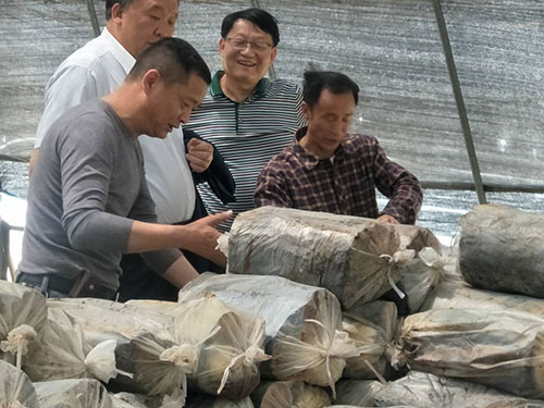 湖南神駿農(nóng)業(yè)科技發(fā)展有限公司,湖南神駿農(nóng)業(yè),神駿農(nóng)業(yè),邵陽食用菌,邵陽食用菌種植基地