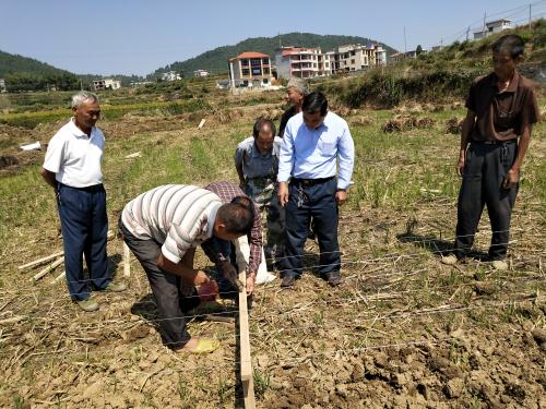 湖南神駿農(nóng)業(yè)科技發(fā)展有限公司,湖南神駿農(nóng)業(yè),神駿農(nóng)業(yè),邵陽食用菌,邵陽食用菌種植基地