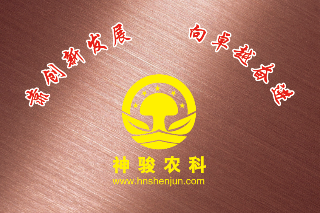 湖南神駿農(nóng)業(yè)科技發(fā)展有限公司,湖南神駿農(nóng)業(yè),神駿農(nóng)業(yè),邵陽(yáng)食用菌,邵陽(yáng)食用菌種植基地