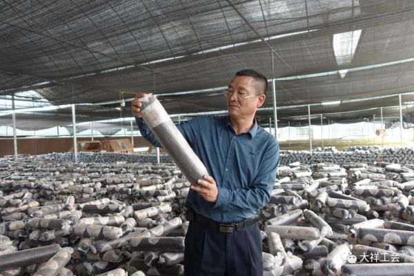 湖南神駿農(nóng)業(yè)科技發(fā)展有限公司,湖南神駿農(nóng)業(yè),神駿農(nóng)業(yè),邵陽(yáng)食用菌,邵陽(yáng)食用菌種植基地